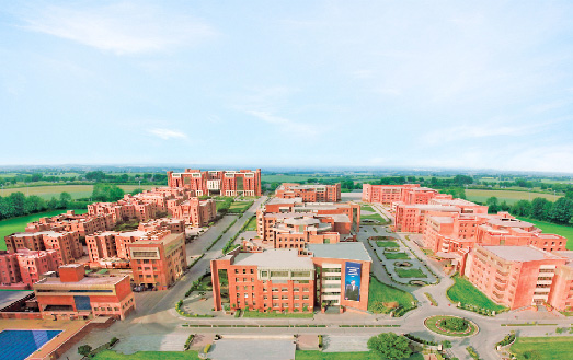 Amity Online campus